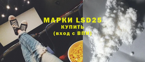 СК Кукмор